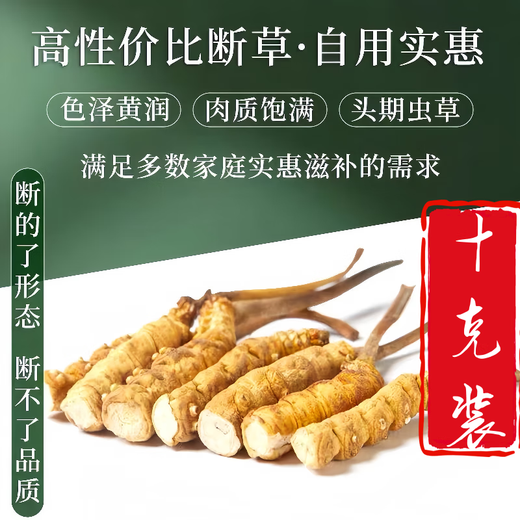 【支持质检】10克大断草正宗冬虫夏草断草虫草断草自食滋补正品 虫草大断虫草 30克装送三克发33克
