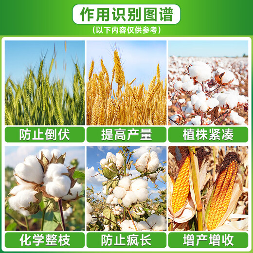50% chlormequat, wheat, cotton, corn, flower growth control drug, anti-lodging stem thick growth regulator 500g