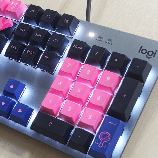 罗技（Logitech） K845机械键盘 有线键盘办公全尺寸键盘 电竞游戏发光键盘 吃鸡键盘 diy键帽 情人节礼物 K845【My makeup bag】-青轴