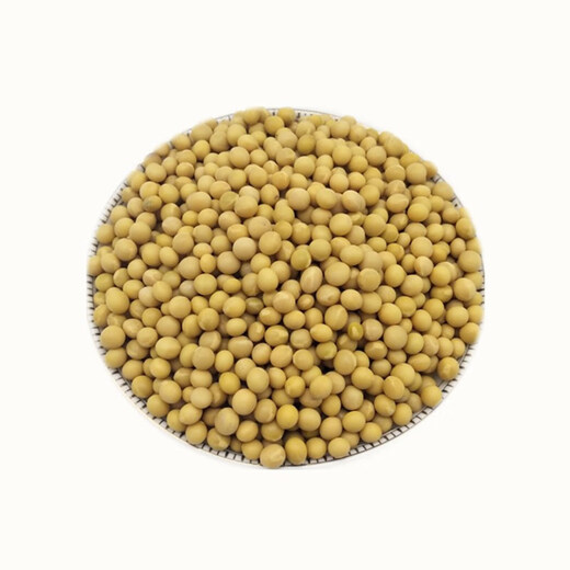 Zhifazhe New Bean Xiaojinhuang 690 Sojabohnen 5Jin Jin entspricht 0,5 kg. Aus kleinen Sojabohnen werden Natto-Perlen hergestellt. Xiaojinhuang 1Jin Jin entspricht 0,5 kg.