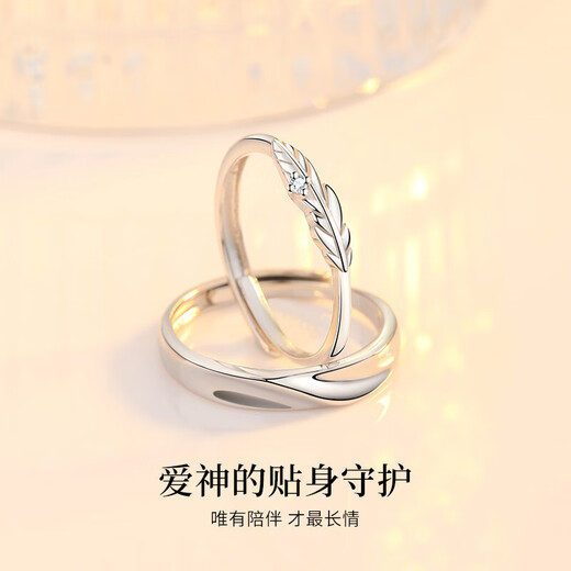 MZMZ Cupid's Feather Couple Ring PT950 Platinum Pair of Plain Rings Requesting Wedding Rings for Girlfriend's Birthday Gift Local Warehouse for Next-Day Delivery - Light Luxury Living Rings Free Engraving (Live/Closed Both)