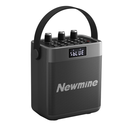 Newmine K519 Bluetooth audio maison karaoké haut-parleur lecteur de musique haute puissance hifi haute qualité sans fil extérieur portable haut-parleur portable cadeau pratique super longue durée de vie de la batterie