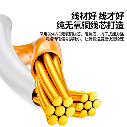 山泽（SAMZHE） 七类网线 CAT7类八芯双绞纯铜扁平万兆网络成品跳线 家用装修工程镀金屏蔽网线 七类【扁平白色】1米 CAT-701A