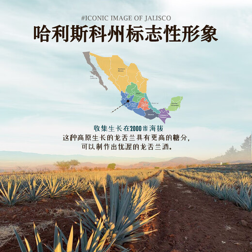 Ou Shuai Gold Award Tequila Alkohol Auswärtiger Weinmischung Margaret Mexikanische Originalflasche importiert OU Shuai Tequila Mandelgeschmack 750 ml 1 Flasche