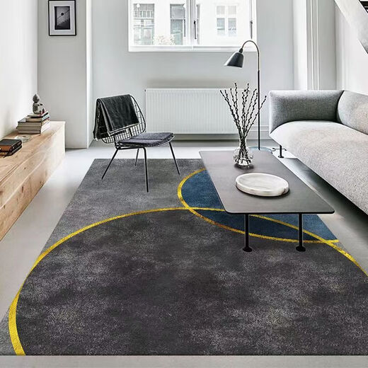 Xuxian light luxury living room carpet floor mat coffee table mat bedroom living room carpet home entrance anti-slip mat large area carpet light luxury-13 200*300 cm