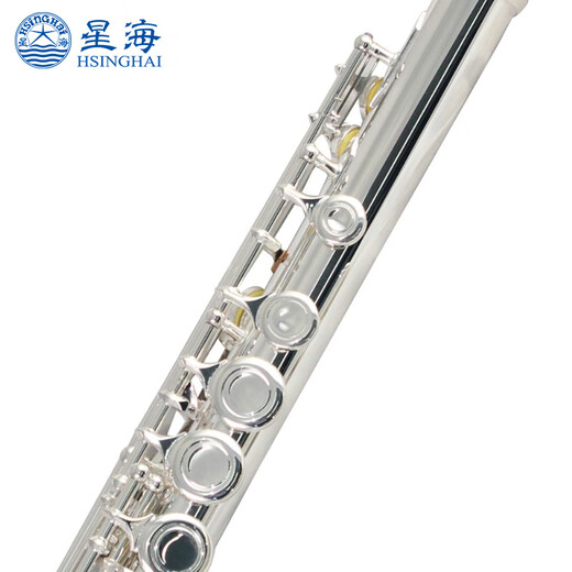 星海长笛镀银C调16键闭孔 E键长笛初学 专业院校考级乐器 16闭孔C调镀银E-181