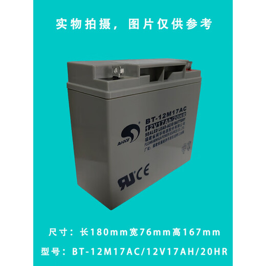 Gulf fire alarm host battery gas fire alarm controller backup battery BT-12M4 points 0AC12V4AH