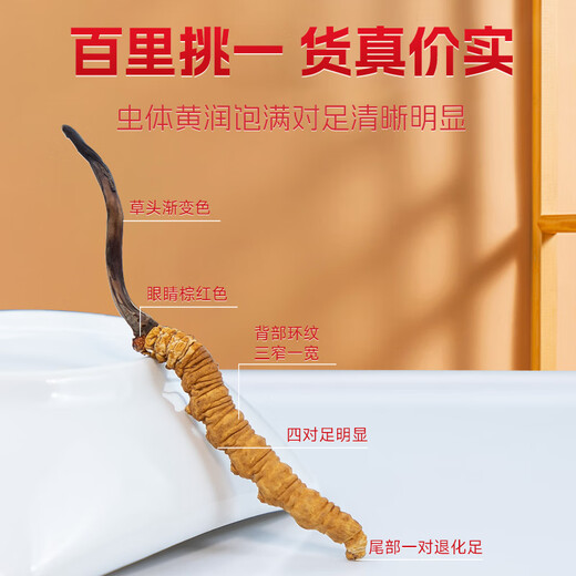 藏清源冬虫夏草西藏那曲虫草礼盒装头期干货冬虫草 4根/克200根 共50克