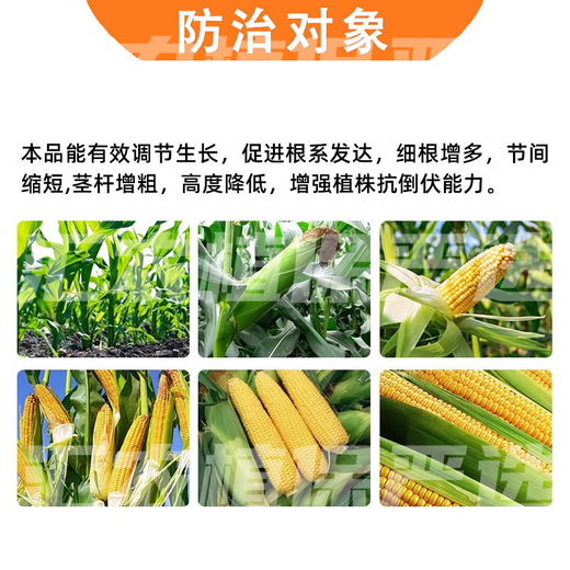 Guoguang Aifeng corn chlormequat amine fresh ester ethephon control growth agent anti-lodging special growth regulator 55g*1 set