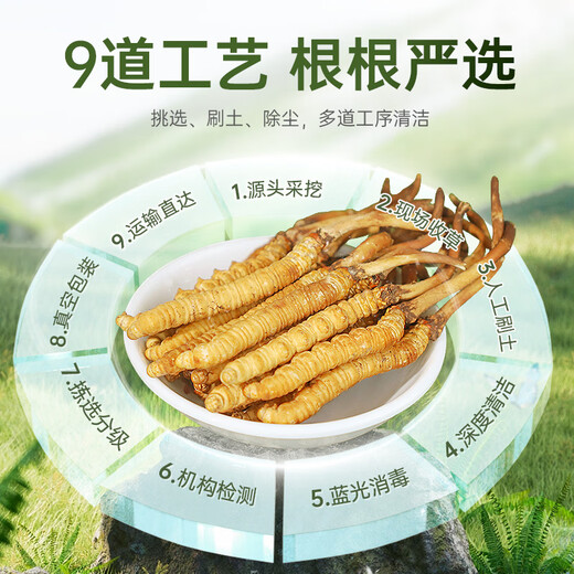 Guokuntang [Chinese Academy of Sciences Traceability] Fresh Cordyceps sinensis Nagqu, Tibet. Wild first-stubble fresh Cordyceps gift box Nagqu fresh grass 0.6-0.8g/root 50 roots