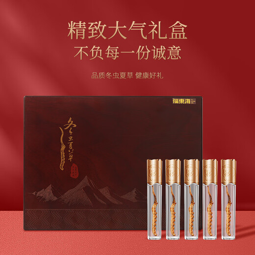 Fudonghai cordycep