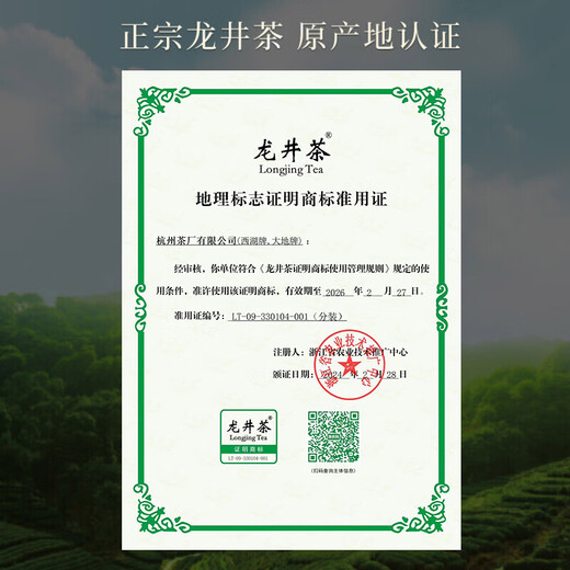 Xihu Marke 2025 neuer Tee Green Tea Longjing Tee, Mingqian Sonderauswahl 100g Klassische Geschenkbox Urlaubs Geschenk Spring Tee