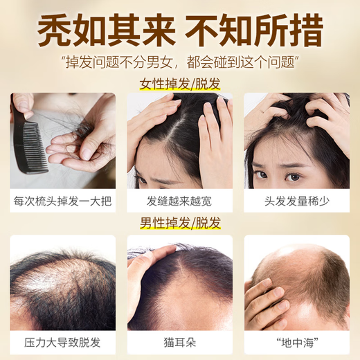 Tongrentang Anti-Deletion Shampoo Ginger Increase Hair Oil Control Fluffy Long Hair Heshou Polygonum multiflorum Ginger Wang Gu Hai 500g+8g