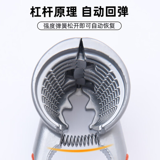 YH new walnut clip household labor-saving stainless steel high multi-function thickened hazelnut peeling pliers exclusive combination package-quality free walnut needle