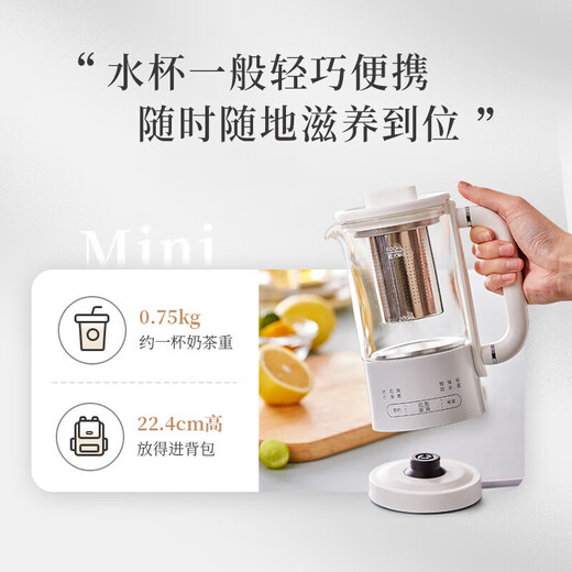 Bear Health Kettle Kettle Tea Maker 316L Stainless Steel Mini Small Capacity Tea Kettle Mini Small Portable Insulated Electric Kettle Gift YSH-E06H1 316L Stainless Steel 0.6L
