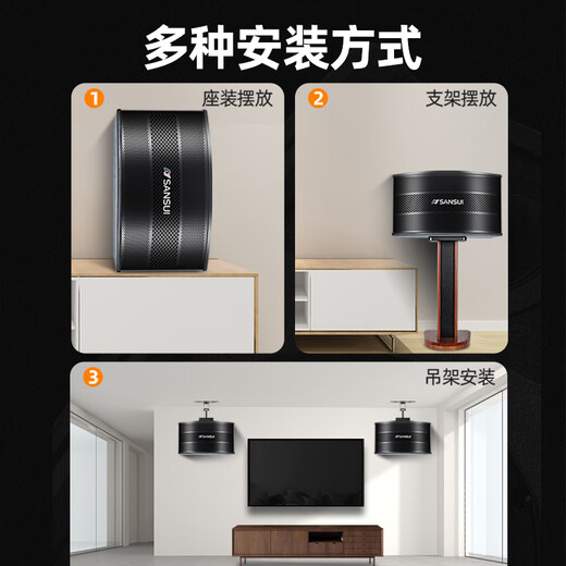 山水（SANSUI）家庭KTV音响 家庭影院组合套装卡拉OK搭配功放点歌机K歌室内培训学校舞台专用设备 H11音响一对