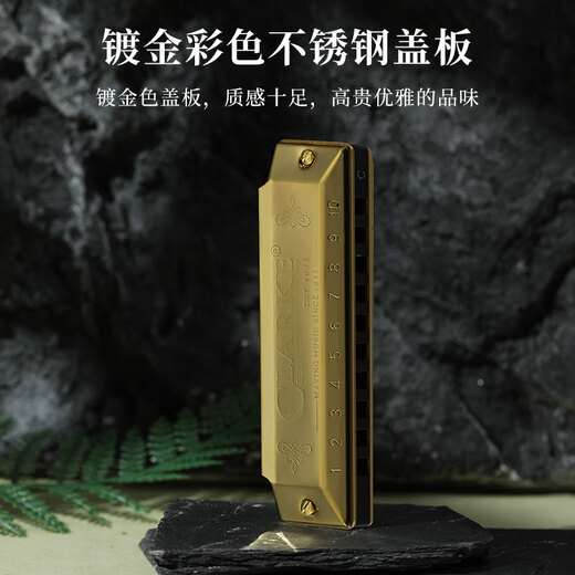 CLARKE英国克拉克10孔布鲁斯口琴十孔蓝调高级成人儿童初学者专业演奏