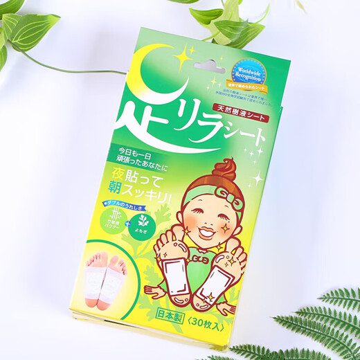 Tree Eishu no Meizuki Nakamura Foot Beauty Natural Bamboo Sap Mugwort Foot Patch 30 patches/box*2 imported from Japan