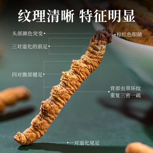 Tongfu Cordyceps sinensis 3 Roots/G 1G Paquete. El primer período de nuevos productos secos Cordyceps sinensis de alta calidad sin interrupción.