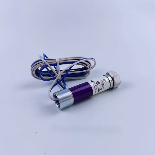 火焰探测器c7027a1049燃烧机霍尼韦尔电眼检c70271023c7035a1064 国产(BC1000+C7027A1049)
