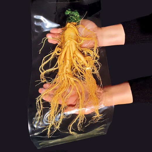 Pékin Tongrentang Jilin Ginseng Changbaisishan Ginseng frais du ginseng frais nord-est rempli de gros vin (le poids brut par branche est d'environ 50 grammes)