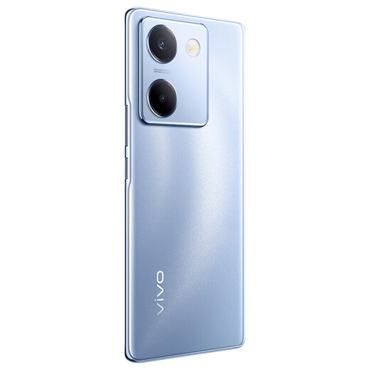 vivo X100 蓝晶×天玑9300 蓝海电池 蔡司长焦 120W双芯闪充 新品5G拍照全网通手机 璃光蓝丨Y100（骁龙695） 12GB+256GB