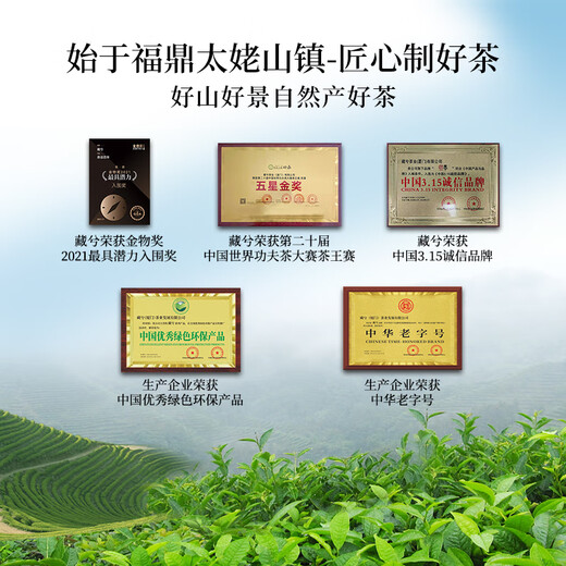 茶吉缘藏兮 乌龙茶叶武夷岩茶大红袍一级120g  中火