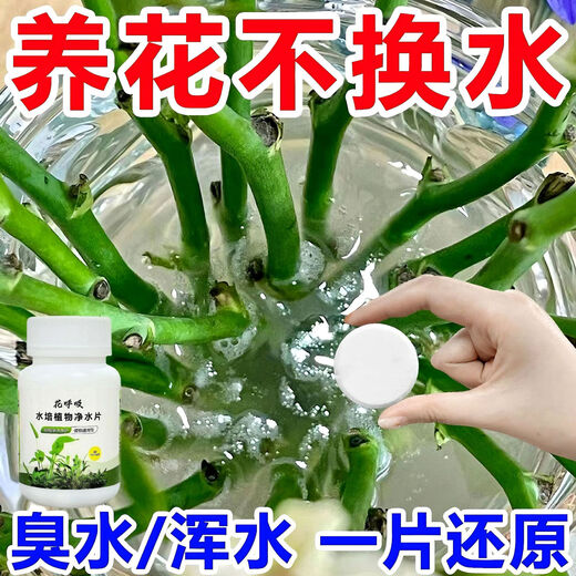 Fresh flowers, rich bamboo nutrient solution, hydroponic plant water purification tablets, disinfection tablets, flower shop purification water quality, hydroponic plant water purification tablets*5 bottles