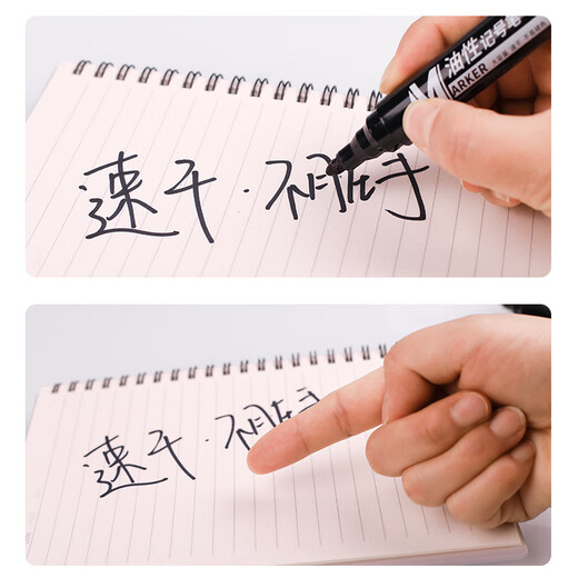 真彩(TRUECOLOR)记号笔大头笔防水油性不掉色快干速干防油蓝色大容量不可擦大号工地划线快递物流专用ZC701