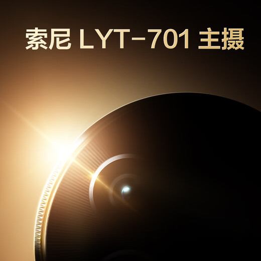 realme真我13 Pro+ 12GB+512GB 湖光绿 索尼超光影潜望长焦 索尼LYT-701主摄 5G游戏智能学生拍照手机