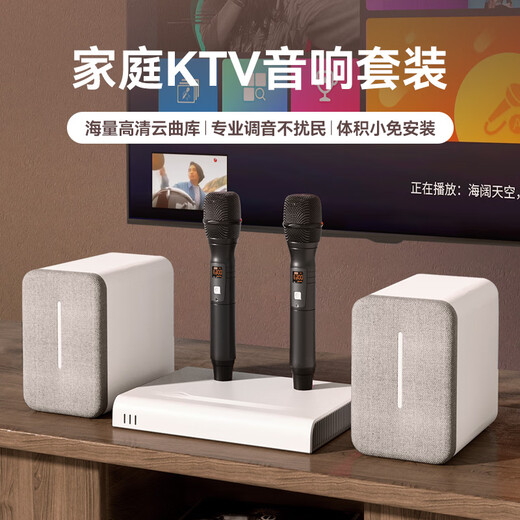 Zhiliao Yuyin Home KTV Audio Set Home Karaoke Home Cinema Amplificateur Conférencier Karaoke Songs and Singing Equipment Full Full Minimum [Metgrade Set] 6-en-1 Karaoke Set + Support Home Cinema