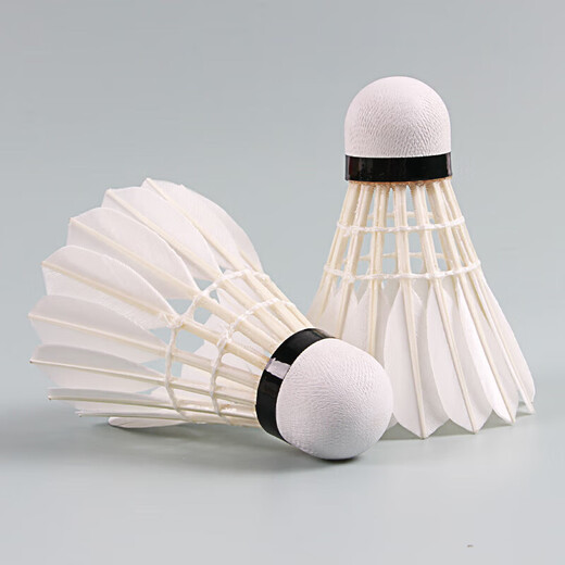 亚狮龙（RSL）羽毛球D5鹅毛专业比赛耐打稳定77速1桶12只装