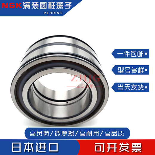 NSK Volllast zylindrische Rollenlager SL04/RS5009 5010 5011 5012 5013 NR PP RS5009NR/SL04 5009PPSE