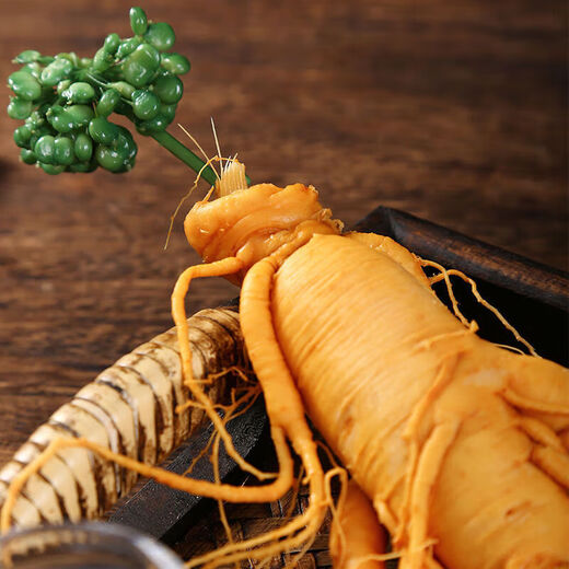 Pékin Tongrentang Jilin Ginseng Changbaisishan Ginseng frais du ginseng frais nord-est rempli de gros vin (le poids brut par branche est d'environ 50 grammes)