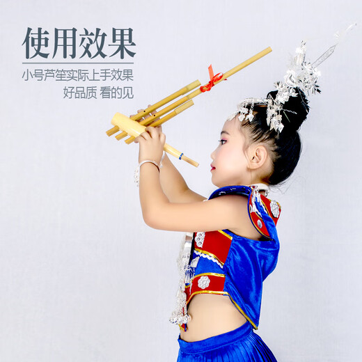 芦笙民族乐器贵州云南竹制6管6音C调舞台道具装饰纯手工优质水竹 小号吹响6个音 可吹曲 C调送花