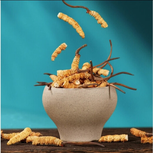 Cordyceps Sinensis Тибетские области cordyceps sinensis broken трава более доступна для самообучения сухого кордицепса питательного сушеного жевания, пропитанного вином и порошком для приготовления супа. 100 граммов больших Cordyceps Sinensis получает 13 граммов
