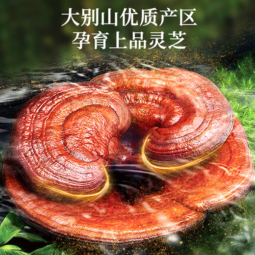 Lei Yunshang Ganoderma lucidum cápsulas en polvo de esporas para mejorar la inmunidad después de la cirugía productos nutricionales para personas de mediana edad y ancianos productos para la salud logotipo de sombrero azul cápsulas en polvo de esporas 90 cápsulas * 6 botellas, dos botellas gratis