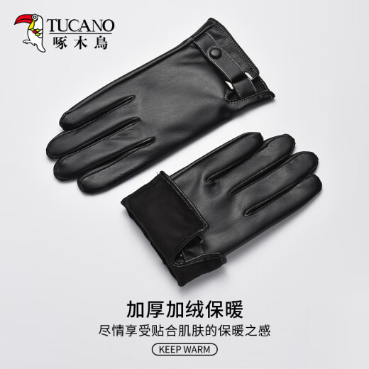 Woodpecker (TUCANO) scarf and gloves men's autumn and winter warm scarf plus velvet touch screen leather gloves gift box set Christmas gift
