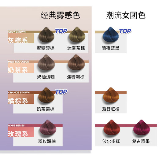 施华蔻斐丝丽泡泡染发剂泡沫摩丝彩染盖白染发膏自己染潮色流行色升级 暗夜蓝黑【泡泡染】蓝黑色 110ml适合齐耳短发