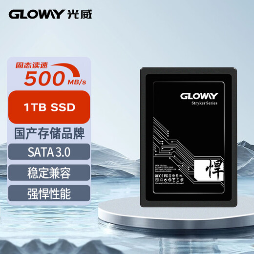 光威（Gloway）1TB SSD固态硬盘 SATA3.0 500MB/s 笔记本/台式机通用 悍将系列