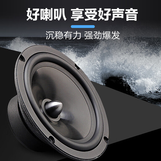 Wanlida Heim-KTV-Audio-Set, Leistungsverstärker, Karaoke-Maschine, Gesangsmaschine, System, Touchscreen, All-in-One-Karaoke-Heim-Karaoke-Lautsprecher-Ausrüstung, komplettes Set BY-310 10-Zoll-Set + 500G Karaoke-Maschine + Subwoofer