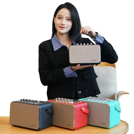Shanghao Shanghao S5 kleiner Lautsprecher, Hair Tube Special Tragbarer Lautsprecher Saxophon Outdoor Live Performance Bluetooth -Lautsprecher S5 Klassischer Schwarz + Ruifu W70 Transceiver