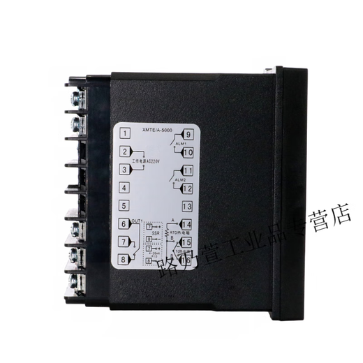 Brand Xinling Contrôle de la température intelligente XMTE-5000 5211/5212/5012/5231/5232/5511/55 XMTE-5231 K 400 (alarme à 2 voies)