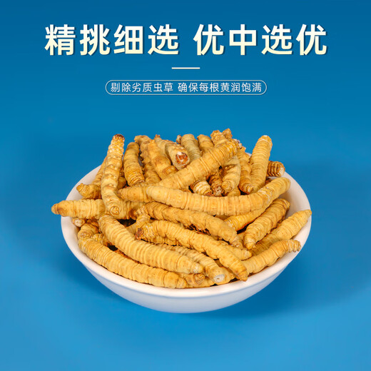 
Zangxitang Cordyceps sinensis Xindan Pure Meat Festival Cordyceps Affordable Family Tonics Large Pure Meat Festival 20g