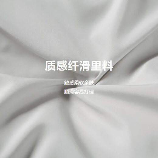 Heilan House Goose Down Jacket Men's Aurora Series Warm Stand Collar Jacket Men's Winter