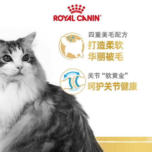 ROYAL CANIN Ragdoll Adult Cat Food RA32 General Food 12 months and above 2kg