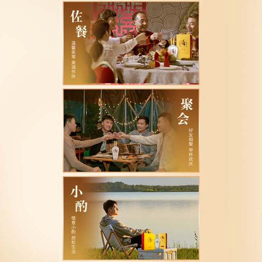 Jin brand Maopu tartary buckwheat wine herbal wine golden buckwheat 42 degrees 500ml*2*5 gift box full box for New Year's Day gifts