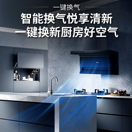 海尔（Haier）抽油烟机家用烟灶套装25立方大吸力厨房油烟机燃气灶 顶侧双吸一键换气自清洁排烟机套装EC723 【单烟机723】25m³大吸力 顶侧双吸油烟机