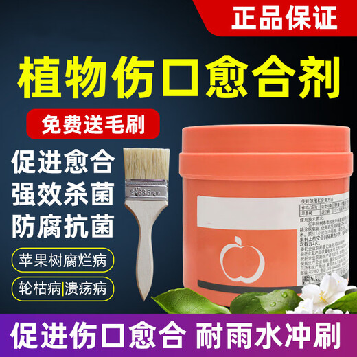 Guoguang Film Taida Tree Bonsai Fruit Tree Wound Smear Healing Agent Grafting Rot Healing Sealing Cream 500g