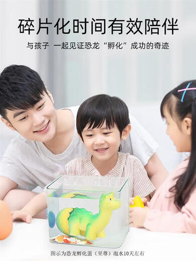 Die Dinosauriereier, die von Jiayile geschlüpft werden können, können erweitert und erweitert werden. Die magischen Kinder sind in Wasser getränkt und Eierspielzeug eingeweicht. Erleben Sie die Installation von 10 kleinen Dinosauriereier.